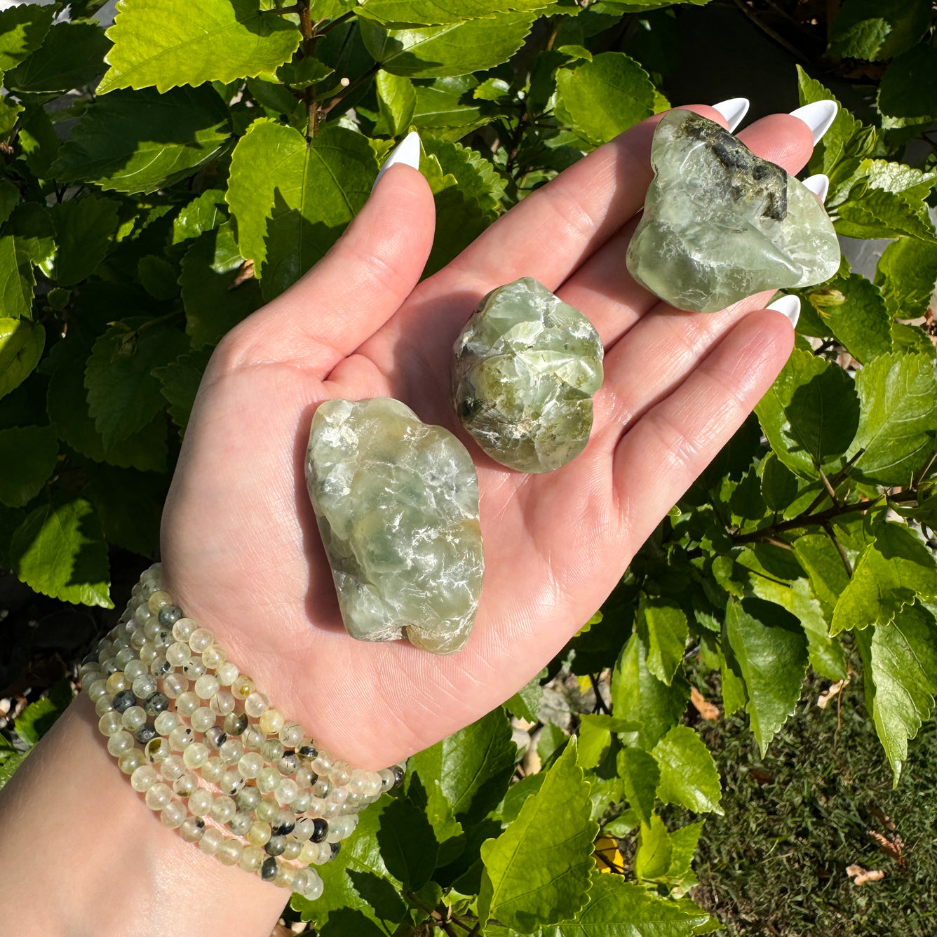 Prehnite Bracelet