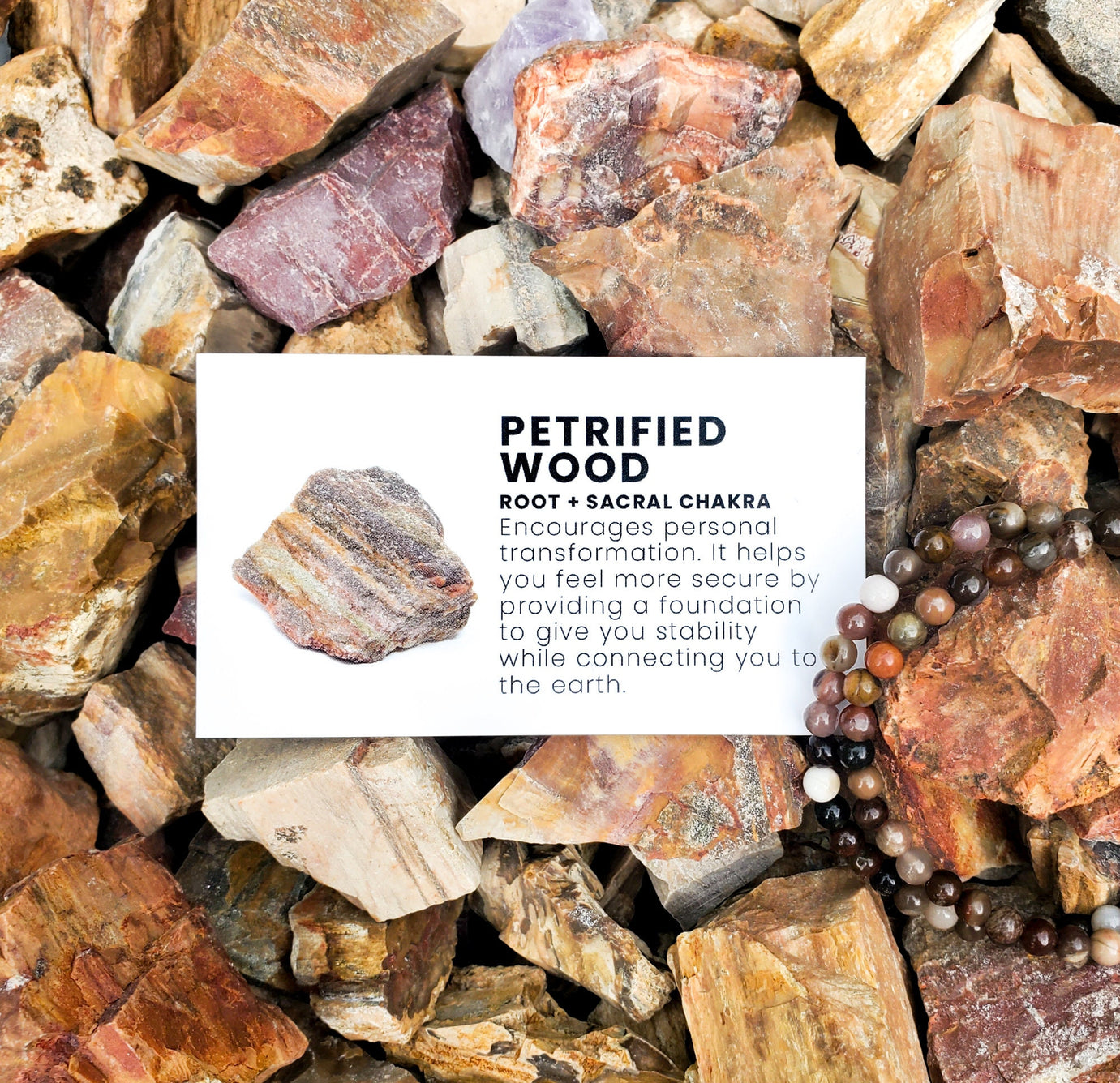 Petrified Wood Bracelet