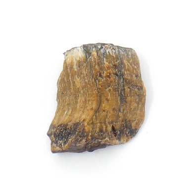 Raw Tiger's Eye